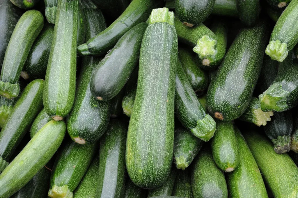 Zucchini: Sayuran Rendah Kalori dengan Banyak Manfaat