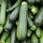 Zucchini: Sayuran Rendah Kalori dengan Banyak Manfaat