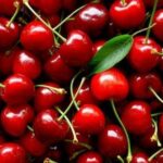Manfaat Buah Ceri: Buah Kecil Merah Cerah dengan Segudang Khasiat